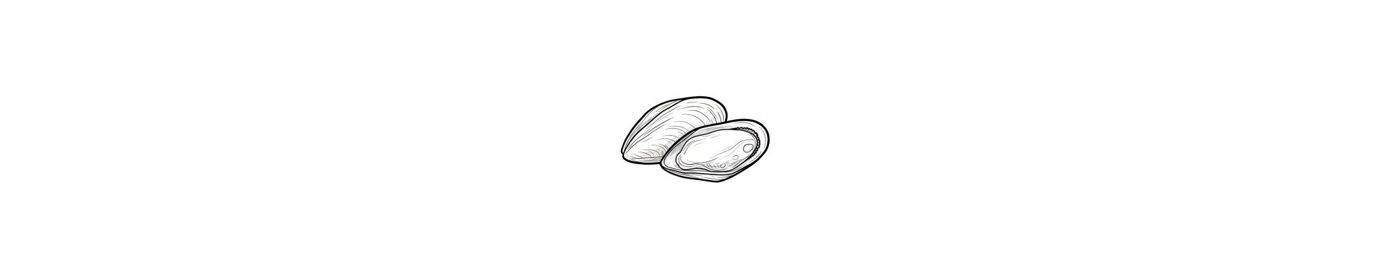 Mussels