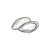 Mussels