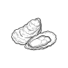 Oysters