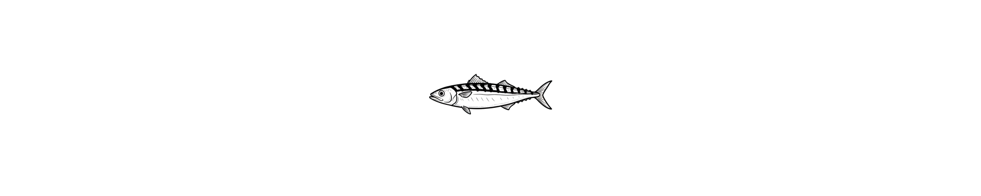 Mackerel