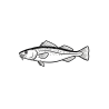 Codfish
